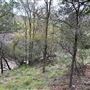 Panther Canyon Nature Trail