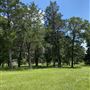 HorseLink Farm