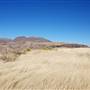 Cibolo Creek Ranch