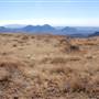 Cibolo Creek Ranch