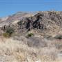 Cibolo Creek Ranch