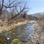 Cibolo Creek Ranch