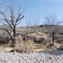 Cibolo Creek Ranch