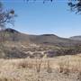 Cibolo Creek Ranch