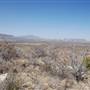 Cibolo Creek Ranch