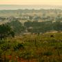 Lambshead Ranch