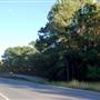 HWY 21 (East of Bastrop)