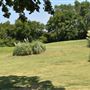 Country View Golf Course