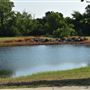Community Park
