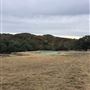 Double T Ranch