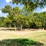 Beard Park