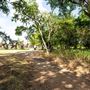 Beard Park