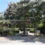 Rose Garden & Historic Market Depot