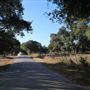 Jones Road