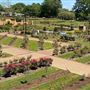 Tyler Municiple Rose Garden