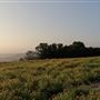 Thistle Ridge Farms