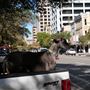 Austin