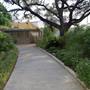 The Alamo