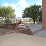 Sul Ross State University