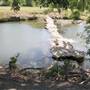 Killeen Community Center Park