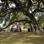 Old Baylor Park