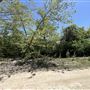 Lost Creek at Wimberley