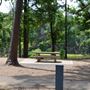 Wright Patman Lake