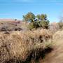 Enchanted Rock State Natural Area