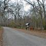Palmetto State Park