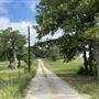 Todd House