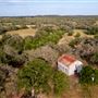 Chick Ranch