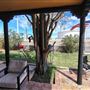 Tampa Avenue House