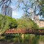 Hike & Bike Trail at Lady Bird Lake
