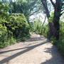 Hike & Bike Trail at Lady Bird Lake