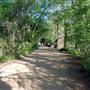 Hike & Bike Trail at Lady Bird Lake