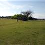 Zilker Metropolitan Park