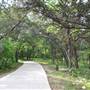 Phil Hardberger Park