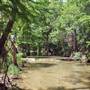 McKinney Falls State Park