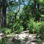 McKinney Falls State Park