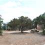 Eisenhower Park