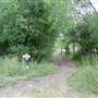 McAllister Park