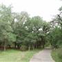 McAllister Park
