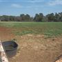 Ramsgate Farms