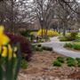 Quakertown Park