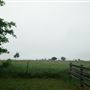 Maeshill Farm
