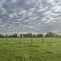 Evans Ranch