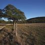 Four Winns Ranch