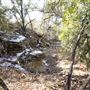 Four Winns Ranch