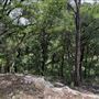 Riva Ridge
