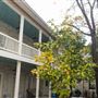 Keystone Star Hotel